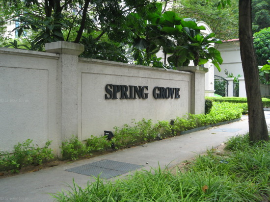 Spring Grove (D10), Condominium #956032